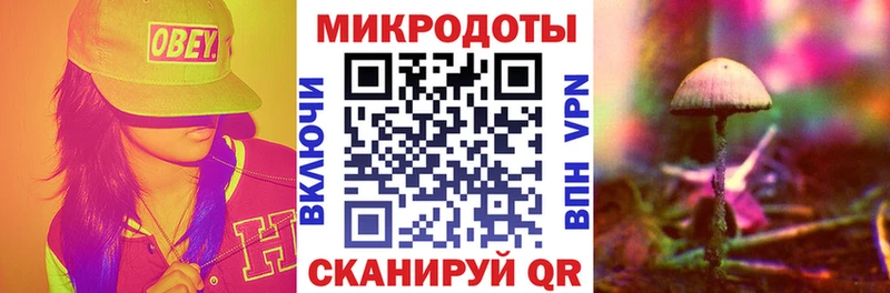 Псилоцибиновые грибы прущие грибы  Валдай 
